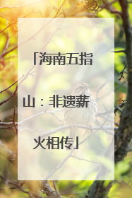 海南五指山：非遗薪火相传