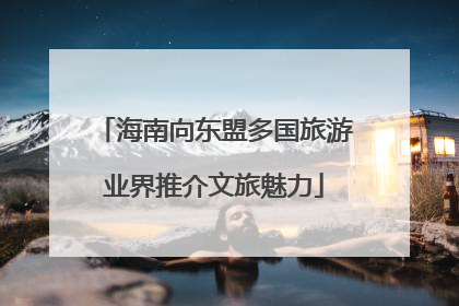 海南向东盟多国旅游业界推介文旅魅力