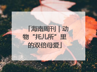 海南周刊｜动物“托儿所”里的双倍母爱