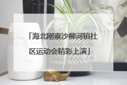 海北刚察沙柳河镇社区运动会精彩上演