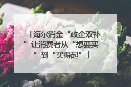 海尔消金“政企双补”让消费者从“想要买”到“买得起”