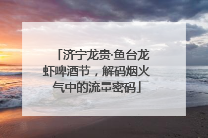 济宁龙贵·鱼台龙虾啤酒节，解码烟火气中的流量密码