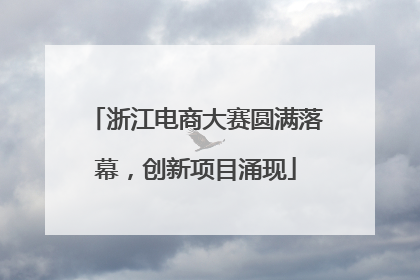 浙江电商大赛圆满落幕，创新项目涌现