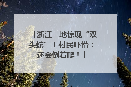 浙江一地惊现“双头蛇”！村民吓懵：还会倒着爬！