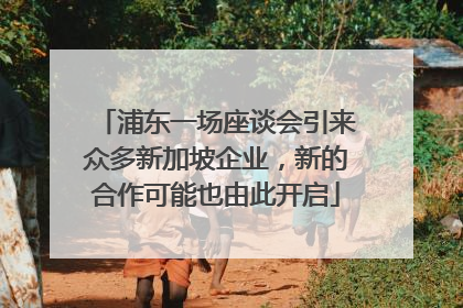 浦东一场座谈会引来众多新加坡企业，新的合作可能也由此开启