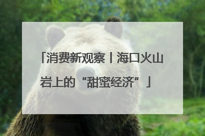 消费新观察丨海口火山岩上的“甜蜜经济”