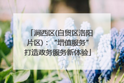 涧西区(自贸区洛阳片区)：“增值服务”打造政务服务新体验