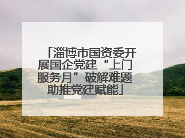淄博市国资委开展国企党建“上门服务月”破解难题助推党建赋能