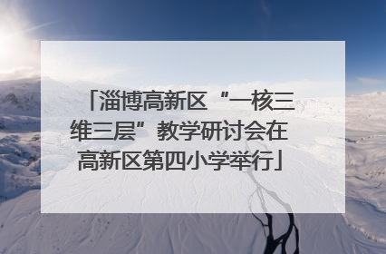 淄博高新区“一核三维三层”教学研讨会在高新区第四小学举行