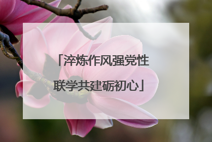 淬炼作风强党性 联学共建砺初心