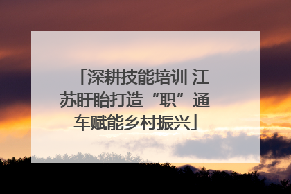 深耕技能培训 江苏盱眙打造“职”通车赋能乡村振兴