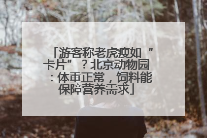 游客称老虎瘦如“卡片”？北京动物园：体重正常，饲料能保障营养需求