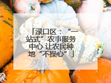 渌口区：“一站式”农事服务中心 让农民种地“不操心”