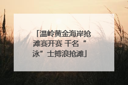 温岭黄金海岸抢滩赛开赛 千名“泳”士搏浪抢滩