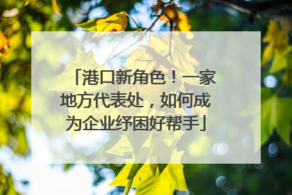 港口新角色！一家地方代表处，如何成为企业纾困好帮手