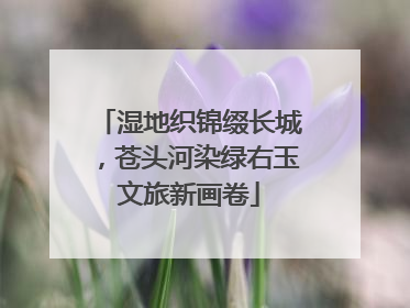 湿地织锦缀长城，苍头河染绿右玉文旅新画卷