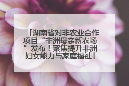 湖南省对非农业合作项目“非洲母亲新农场”发布！聚焦提升非洲妇女能力与家庭福祉