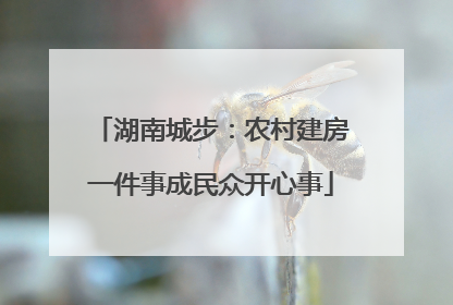 湖南城步：农村建房一件事成民众开心事