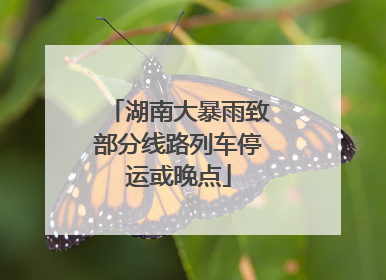 湖南大暴雨致部分线路列车停运或晚点