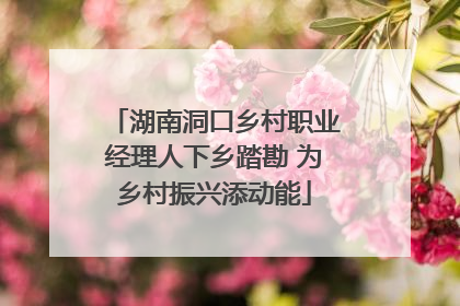 湖南洞口乡村职业经理人下乡踏勘 为乡村振兴添动能