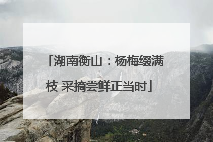 湖南衡山：杨梅缀满枝 采摘尝鲜正当时