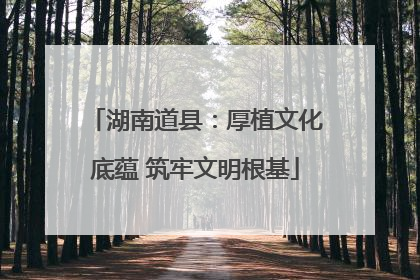 湖南道县：厚植文化底蕴 筑牢文明根基