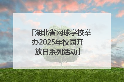 湖北省网球学校举办2025年校园开放日系列活动
