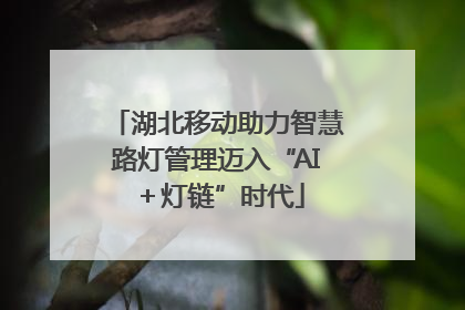 湖北移动助力智慧路灯管理迈入“AI＋灯链”时代