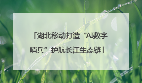 湖北移动打造“AI数字哨兵”护航长江生态链