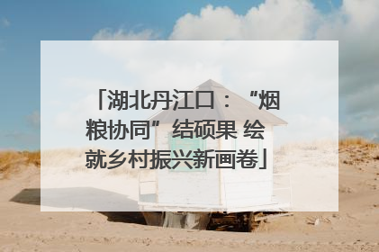 湖北丹江口：“烟粮协同”结硕果 绘就乡村振兴新画卷