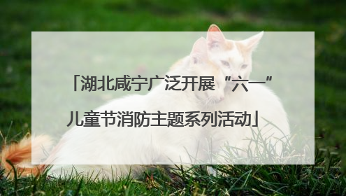 湖北咸宁广泛开展“六一”儿童节消防主题系列活动