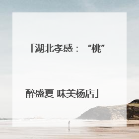 湖北孝感：“桃”醉盛夏 味美杨店