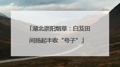 湖北崇阳烟草：白芨田间扬起丰收“号子”