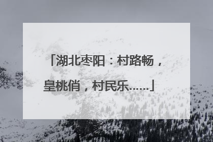 湖北枣阳：村路畅，皇桃俏，村民乐……