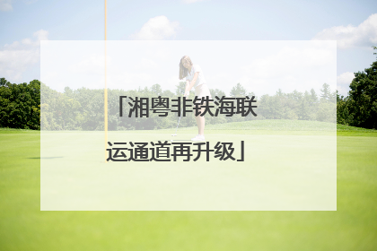 湘粤非铁海联运通道再升级