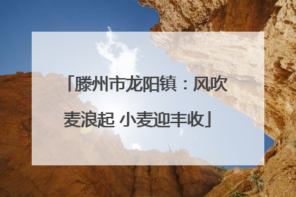 滕州市龙阳镇：风吹麦浪起 小麦迎丰收