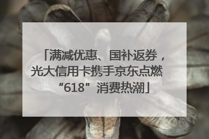 满减优惠、国补返券，光大信用卡携手京东点燃“618”消费热潮