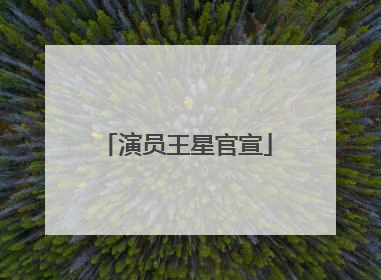 演员王星官宣