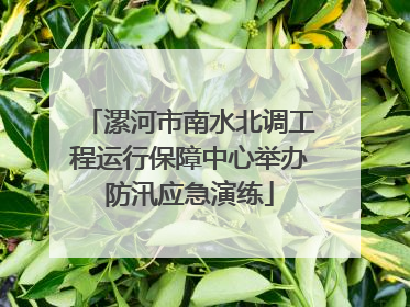 漯河市南水北调工程运行保障中心举办防汛应急演练