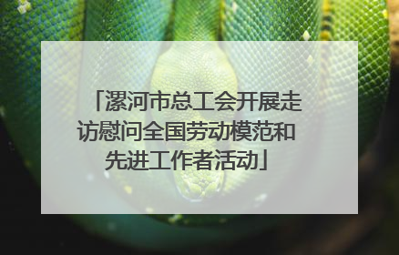 漯河市总工会开展走访慰问全国劳动模范和先进工作者活动