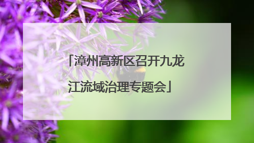 漳州高新区召开九龙江流域治理专题会