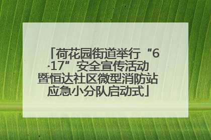 荷花园街道举行“6·17”安全宣传活动暨恒达社区微型消防站应急小分队启动式