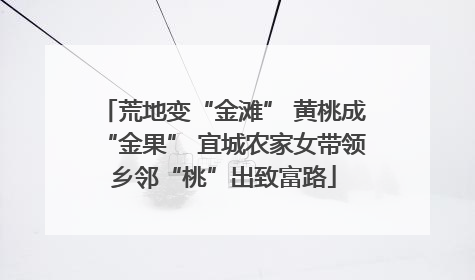 荒地变“金滩” 黄桃成“金果” 宜城农家女带领乡邻“桃”出致富路