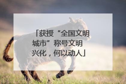获授“全国文明城市”称号文明 兴化，何以动人