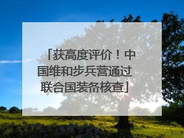 获高度评价！中国维和步兵营通过联合国装备核查