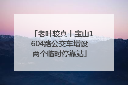 老叶较真丨宝山1604路公交车增设两个临时停靠站