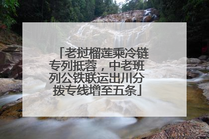 老挝榴莲乘冷链专列抵蓉，中老班列公铁联运出川分拨专线增至五条