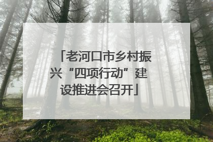 老河口市乡村振兴“四项行动”建设推进会召开
