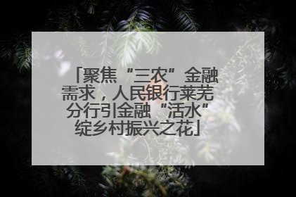 聚焦“三农”金融需求，人民银行莱芜分行引金融“活水”绽乡村振兴之花