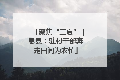 聚焦“三夏”｜息县：驻村干部奔走田间为农忙